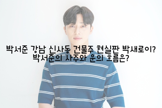  박서준 강남 신사동 건물주 현실판 박새로이? 박서준의 사주와 운의 흐름은?