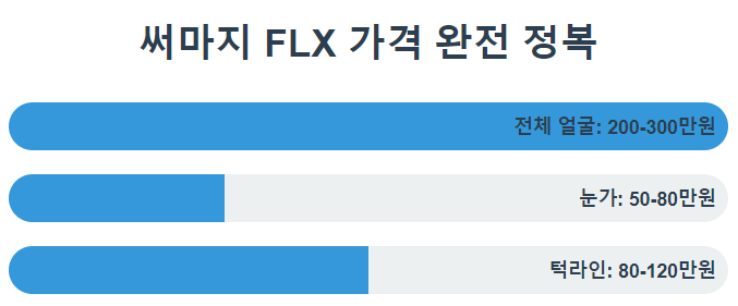 써마지 FLX 가격