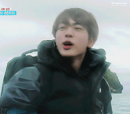  200805 방탄소년단 위버스 진 댓글