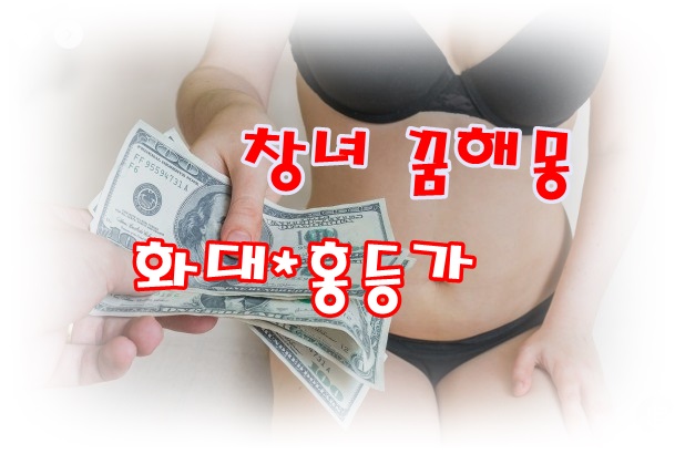  [무료꿈해몽]창녀(prostitute) 꿈해몽;창녀만나는꿈,창녀와성행위하는꿈,창녀따라가는꿈,창녀가유혹하는꿈 등등.