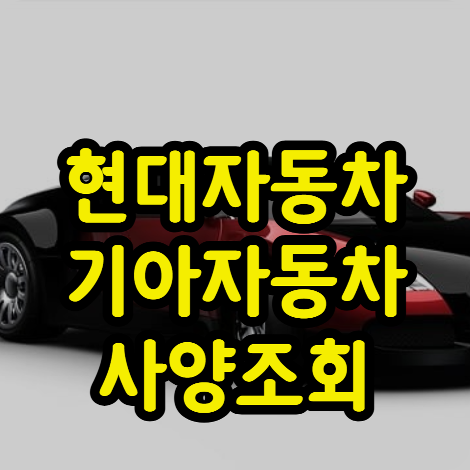  현대자동차 사양조회, 기아자동차 사양조회 하는법 [차대번호]