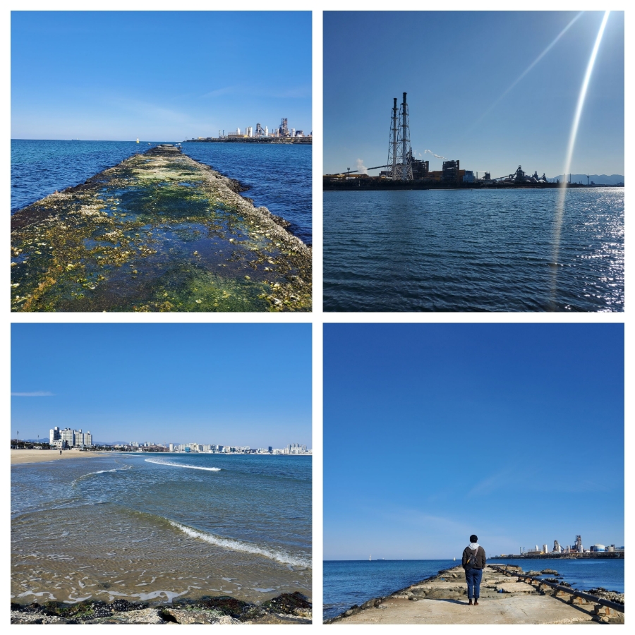 14일 & 보식총정리 4