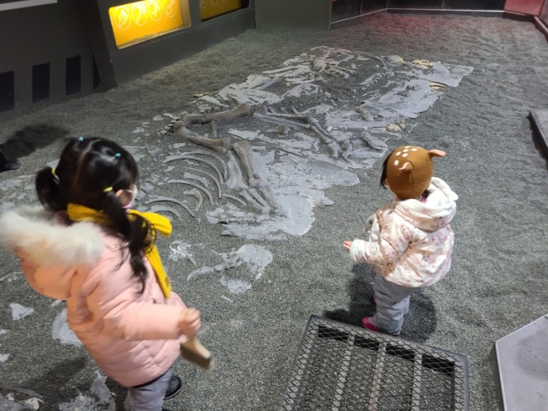 서울랜드빛축제 13