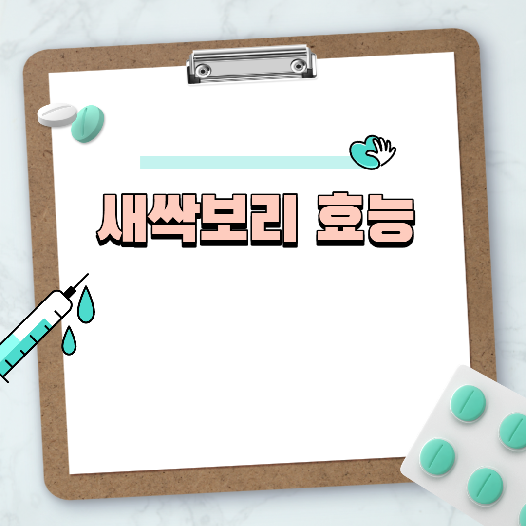  새싹보리 효능