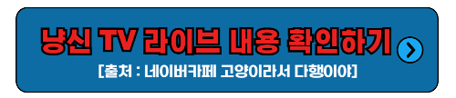 냥신 TV 라이브 요약