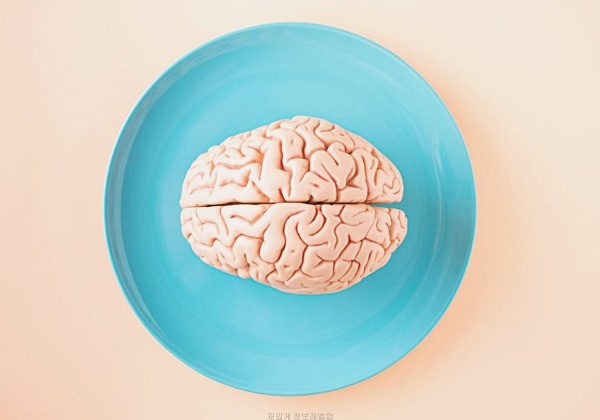 하늘색 접시 위에 뇌 모형이 올려져 있다