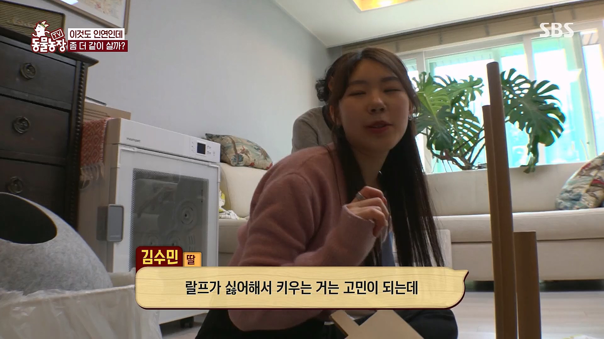 TV 동물농장.E1113.230326p.H264-F1RST.mp4_20230326_172458.951.jpg