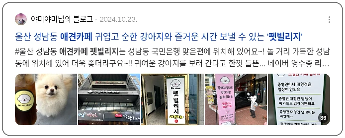 애견카페 펫빌리지 리뷰_2_subsection