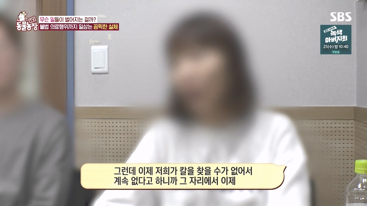 TV 동물농장.E1142.231023p-NEXT.mp4_20231022_172312.707.jpg