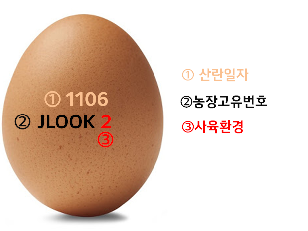  동물복지 유정란과 함께 알아보는 닭의 사육환경
