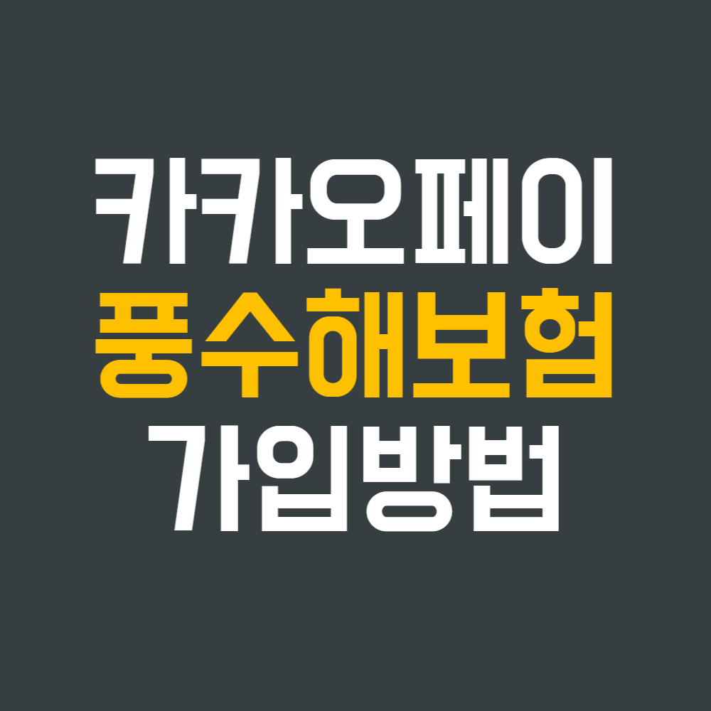 서울시 전통시장 사장님들을 위한 카카오페이 풍수해보험 무료 가입 혜택