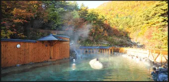 산속 온천 여행 경주 보문온천_24