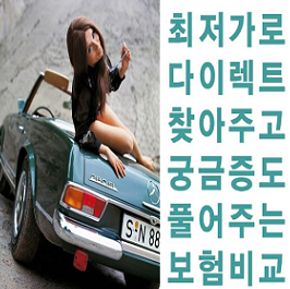  더주고 가입하는일없이 알아보는 신규자동차보험 비교서비스