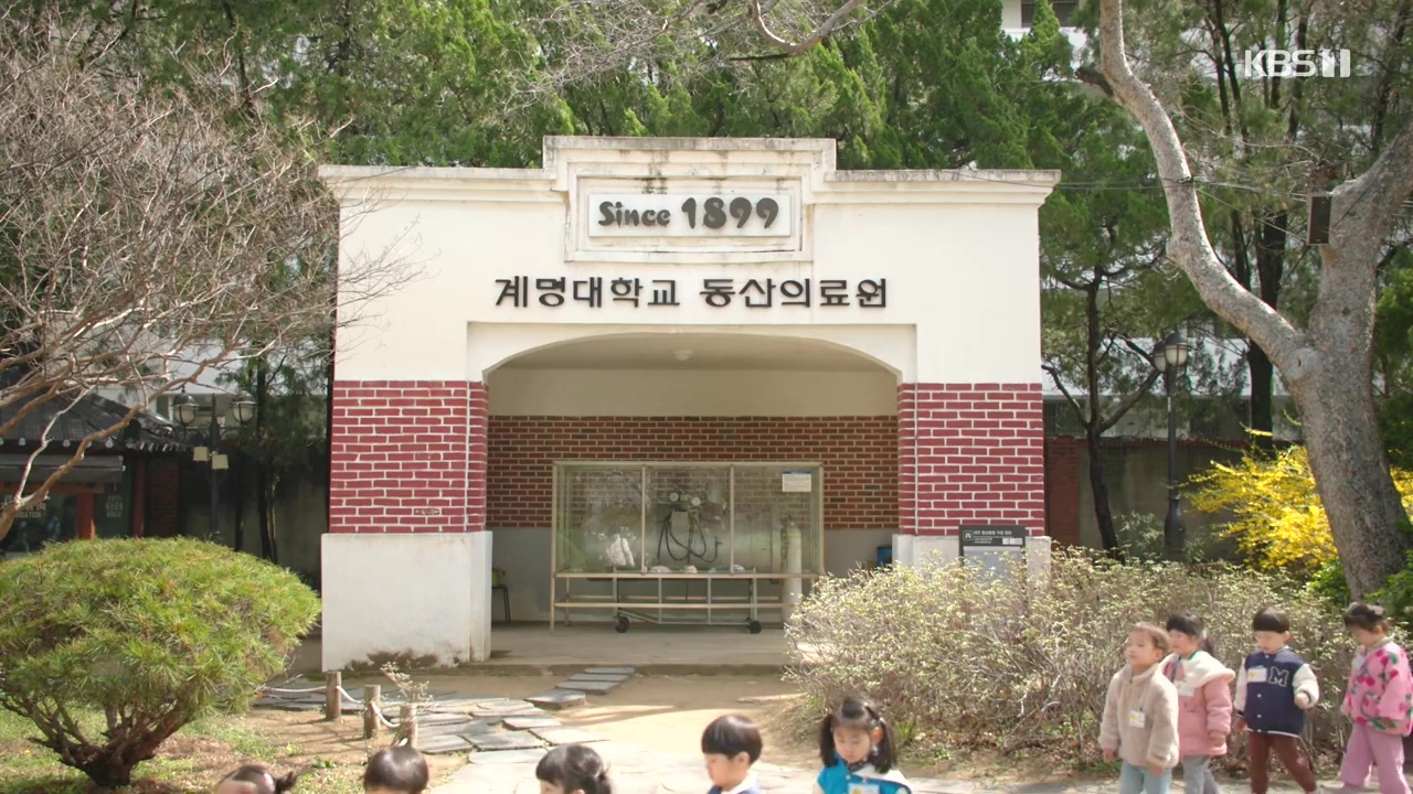 다큐 인사이트.E184.240510p-NEXT.mp4_20240510_202541.620.jpg