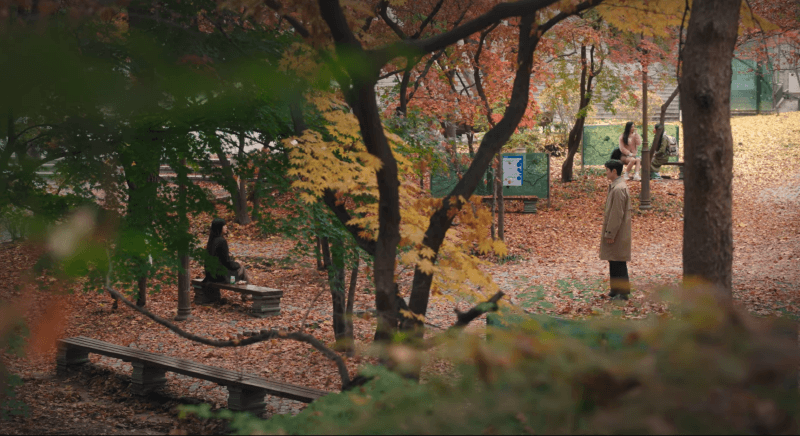 사랑의 이해 11회, 하상수와 안수영이 서광대에서 화양연화