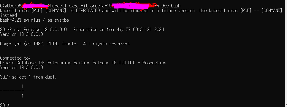 kyma에 oracle sql 올리고 실행한 화면