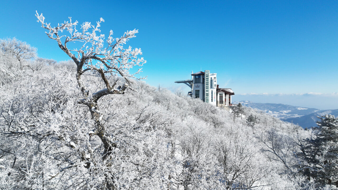 발왕산 설경