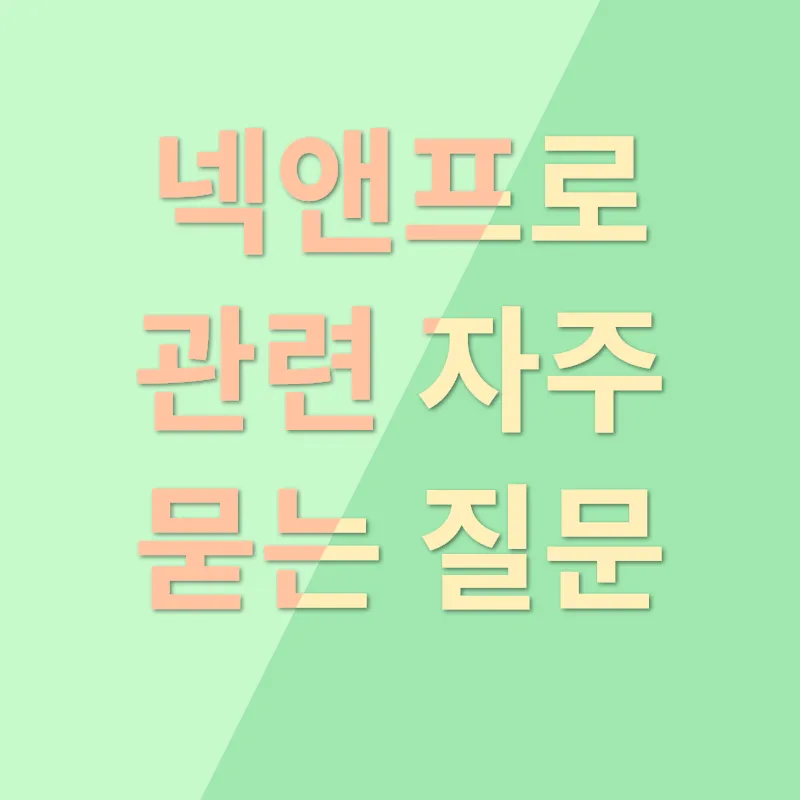 넥앤프로 리뷰_4