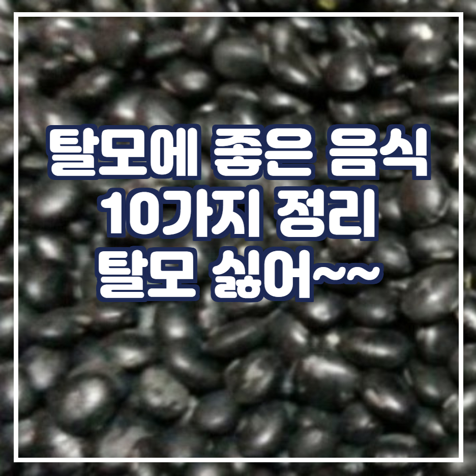  탈모에 좋은 음식 10가지 정리