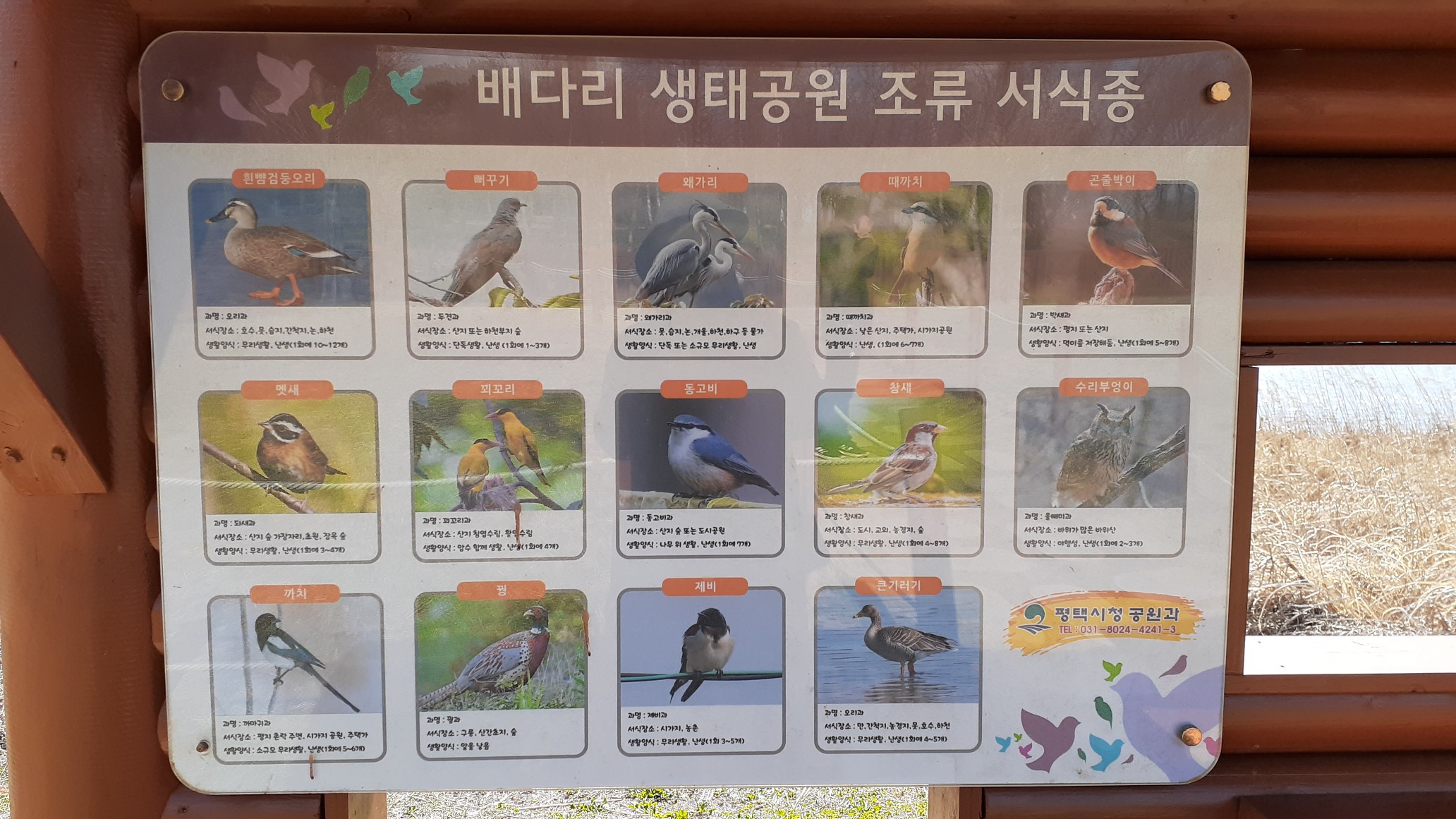  배다리저수지 생태공원 산책하기 참 좋습니다