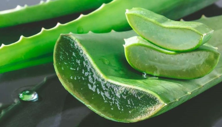 변비가 있을 때 잘 먹는다