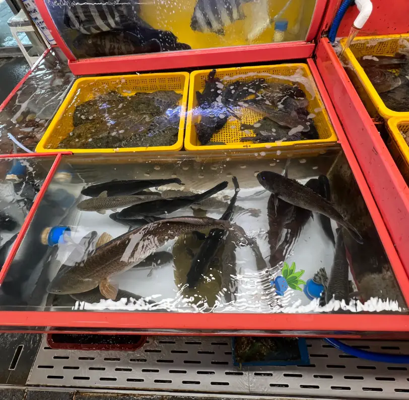 자갈치시장3