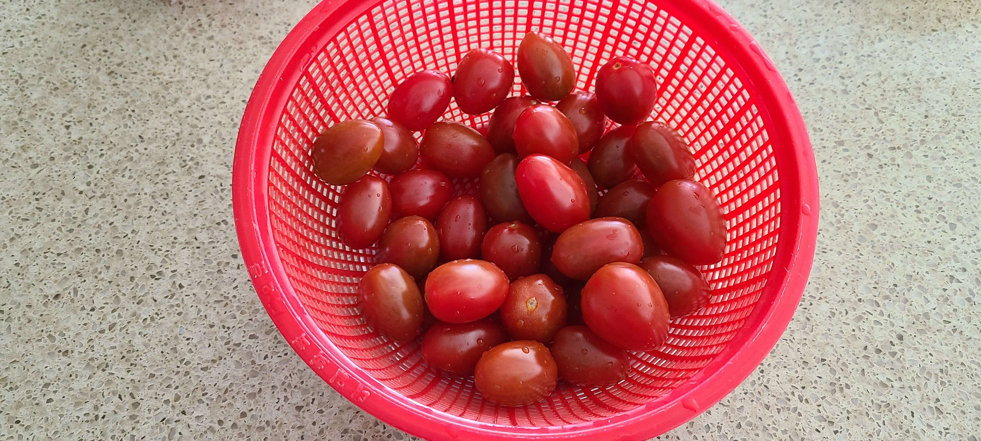  스테비아 토마토의 효능과 부작용 알아보기