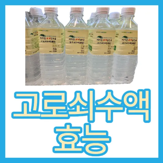 50~60대 고로쇠수액 효능 가격 지리산 화개깊은골 고로쇠수액 섭취방법 맛