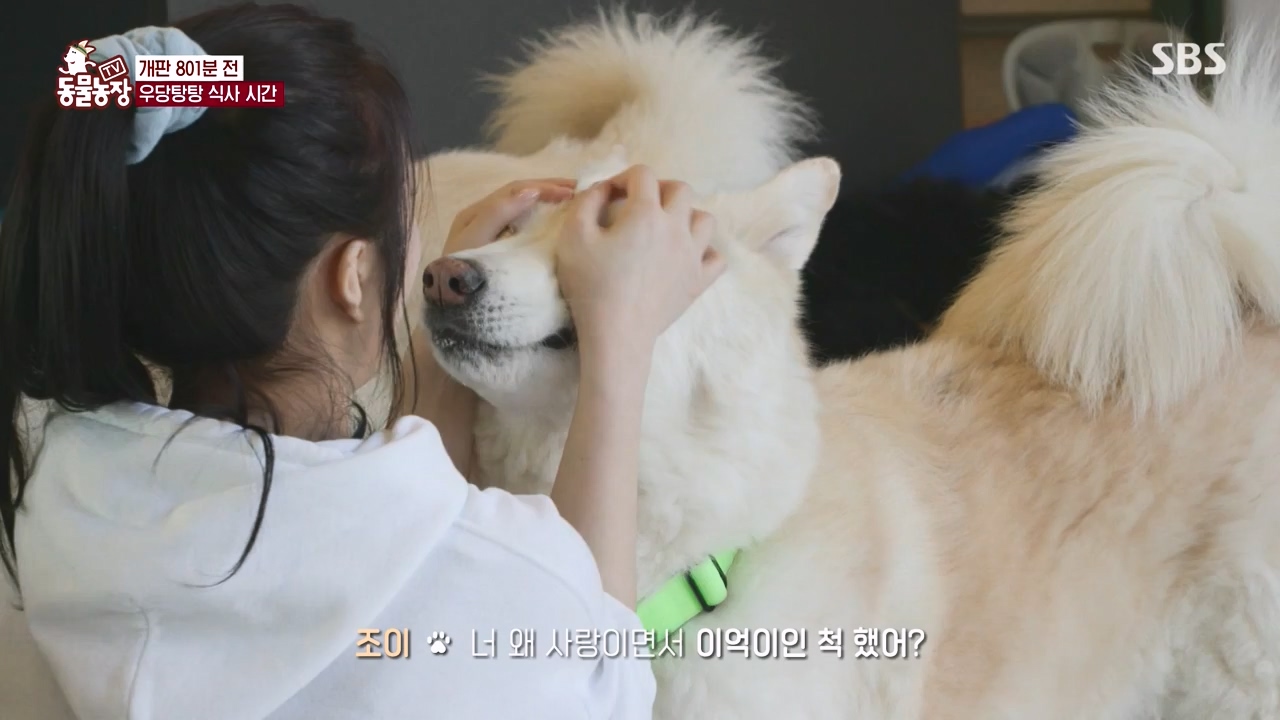 TV 동물농장.E1147.231127p-NEXT.mp4_20231126_170355.890.jpg