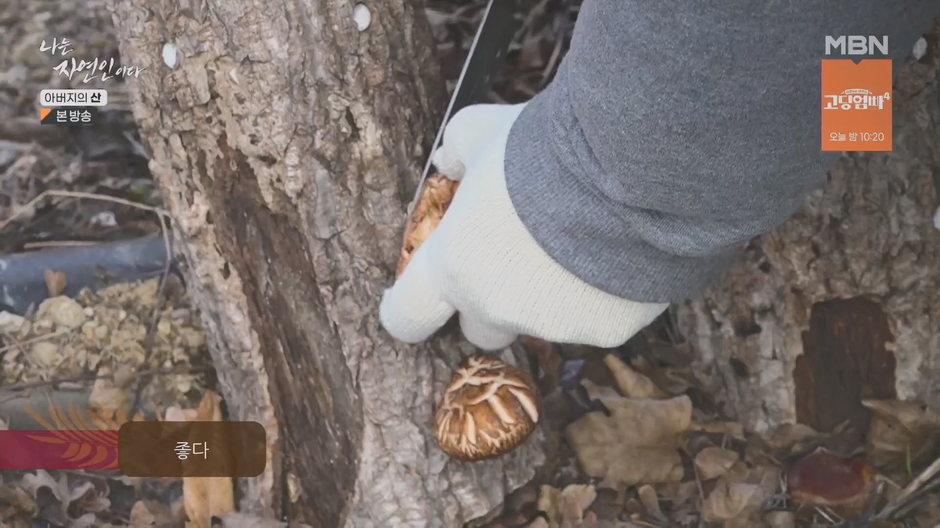 나는 자연인이다.E595.240228p.H264-F1RST.mp4_20240229_200125.848.jpg