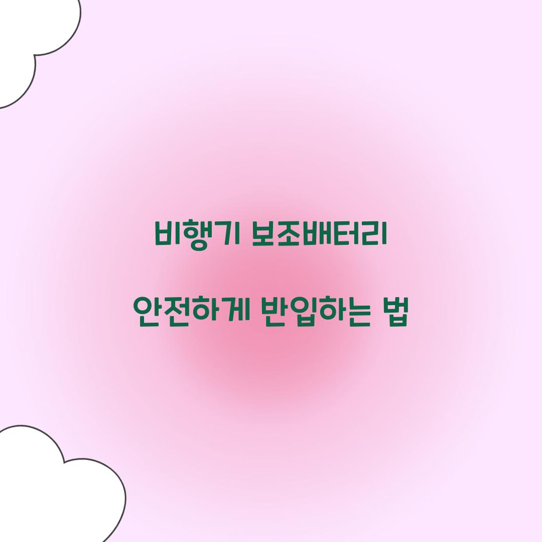 비행기 보조배터리