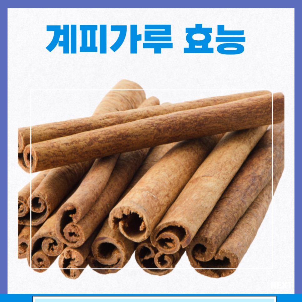 계피 효능 칼로리 부작용 계피가루 계피의효능 계피차 계피 효능 칼로리 부작용 계피가루 계피의효능 계피차