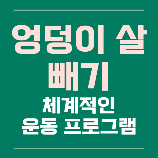  엉덩이 살 빼는 체계적인 운동 프로그램