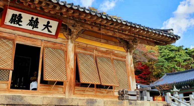 - 수덕사, 명상치유림길과 수암산의 가을 예산으로 볼거리, 단풍여행 31