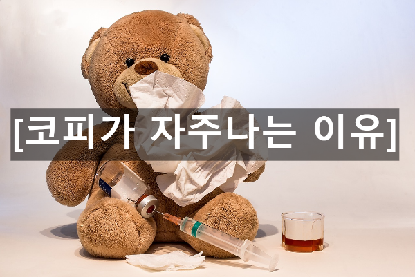  코피가 자주나는 이유