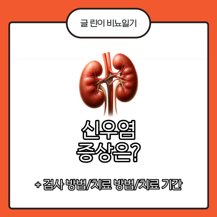  신우염 증상은?