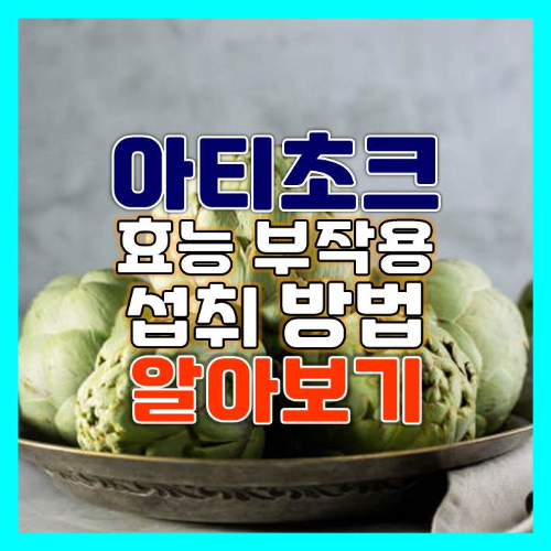  아티초크 효능 섭취방법 부작용 알아보기