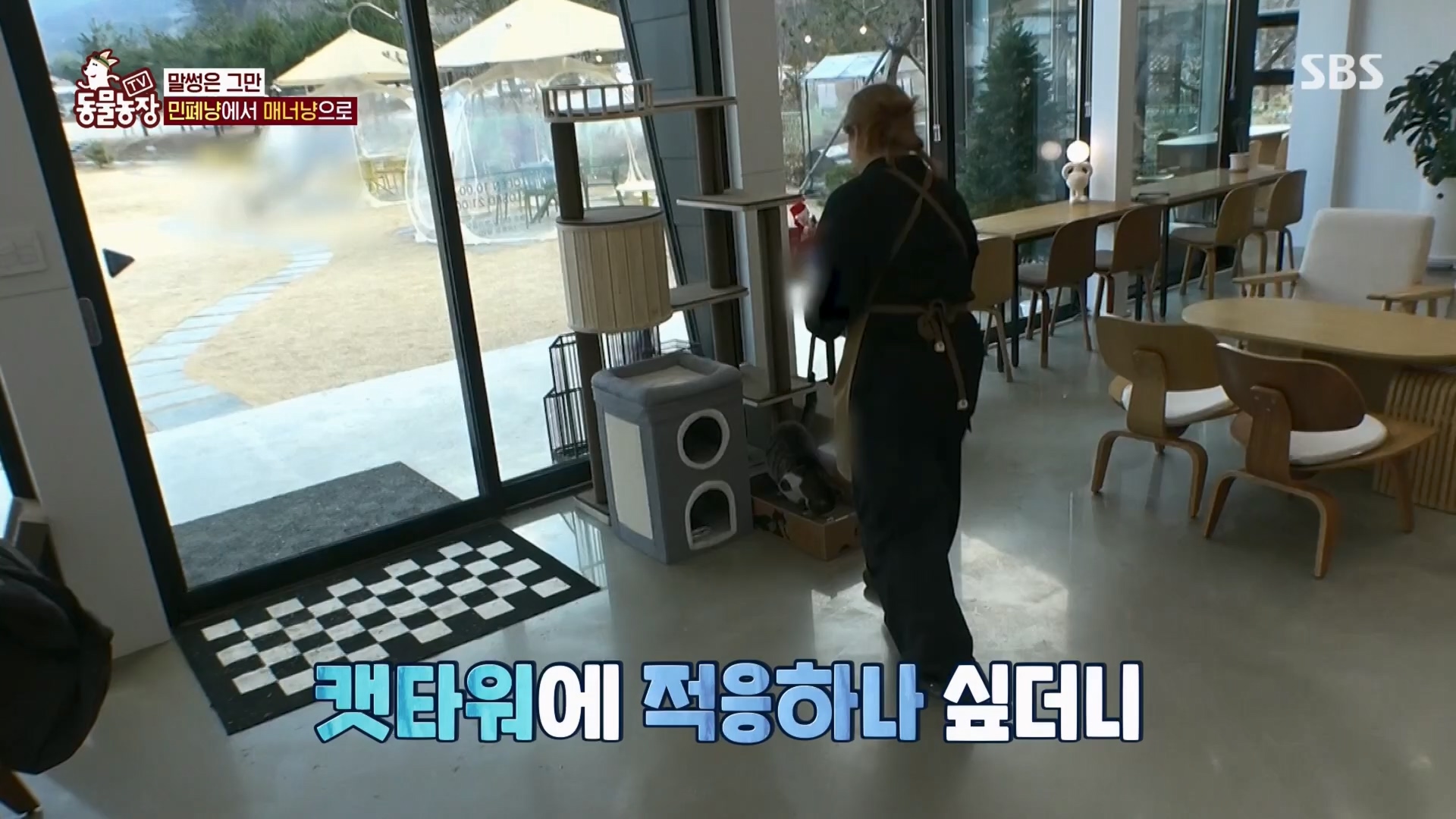 TV 동물농장.E1159.240218p.H264-F1RST.mp4_20240218_170009.116.jpg