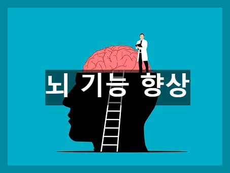 뇌 기능 향상 표현