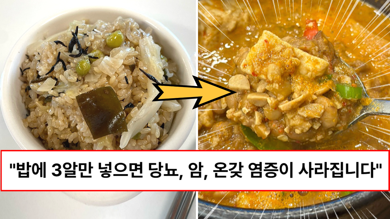 “황금 항앙밥이 완성됩니다” 밥 지을때 3알만 넣으면 평생 암세포가 달라붙지 않는다는 이 방법 “황금 항앙밥이 완성됩니다” 밥 지을때 3알만 넣으면 평생 암세포가 달라붙지 않는다는 이 방법