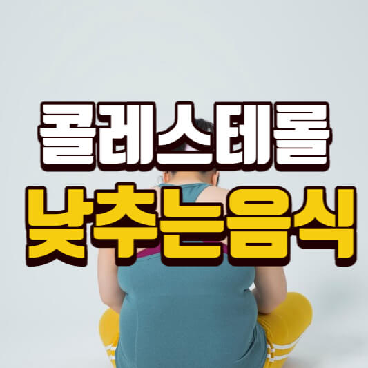 콜레스테롤낮추는음식