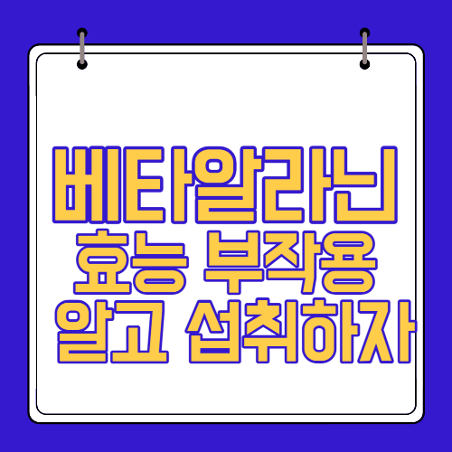  베타알라닌 효능 부작용 알고 섭취하자