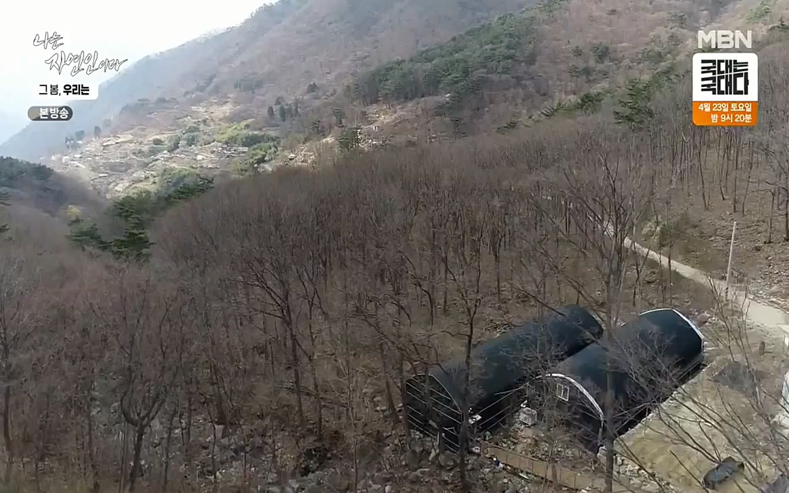 나는 자연인이다.E498.220421p-NEXT.mp4_20220421_184100.101.jpg