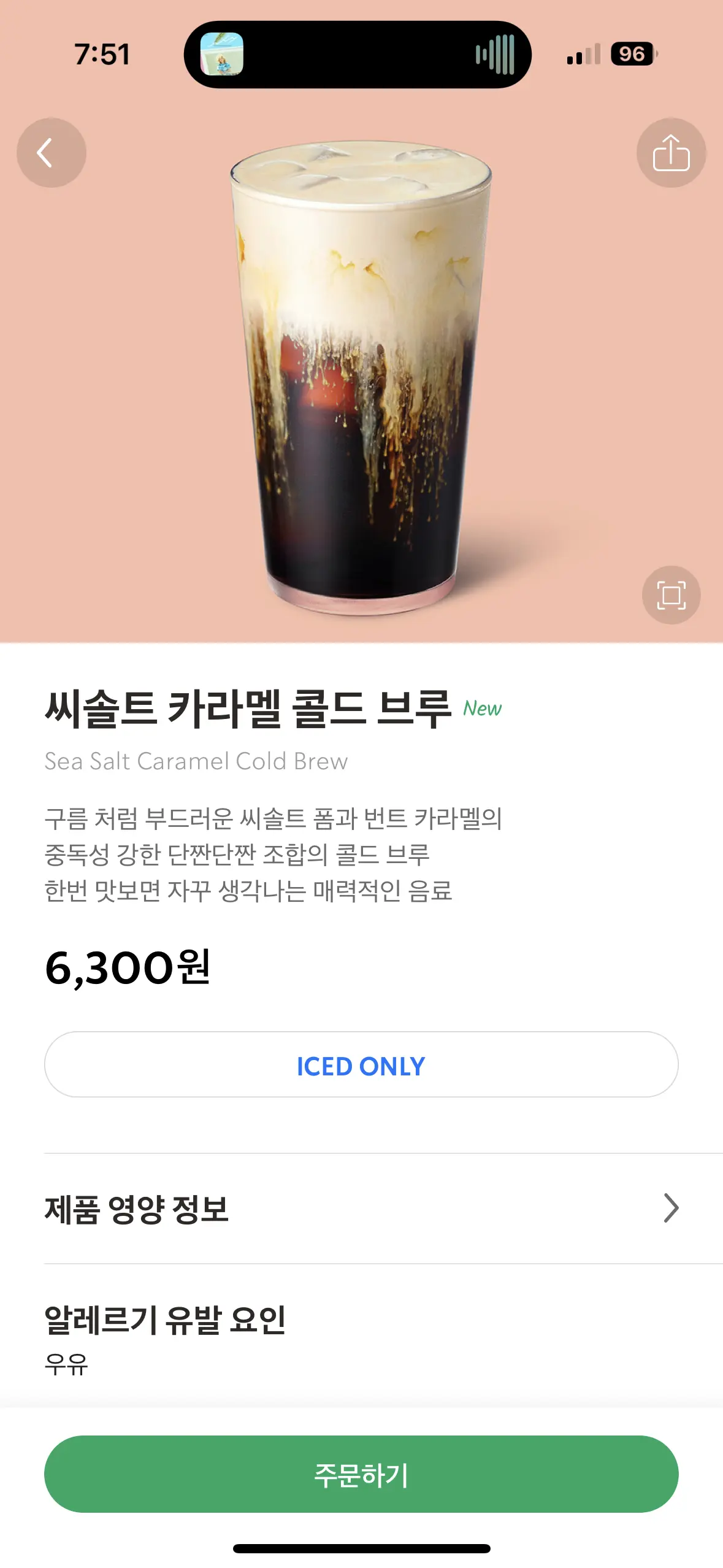 솔트씨 이미지