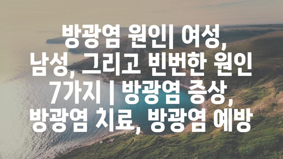 샘플 (11)