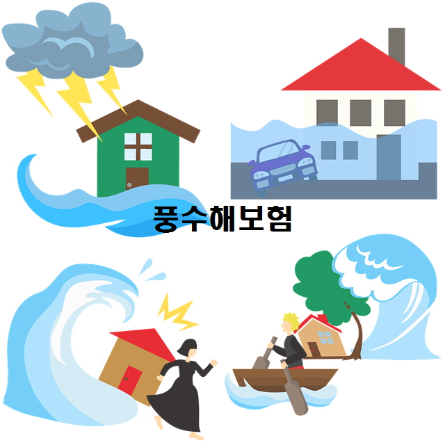  노다지네 잡학다식