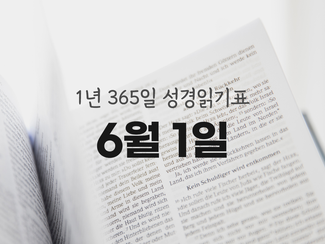 1년 365일 성경읽기표 6월 1일 욥기 성경읽기 진도표