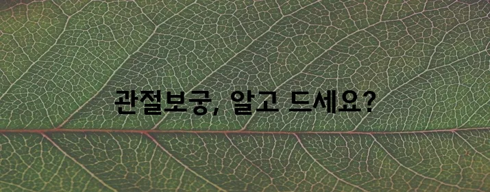 관절보궁 효능과 부작용 꼼꼼히 알아봐야 합니다