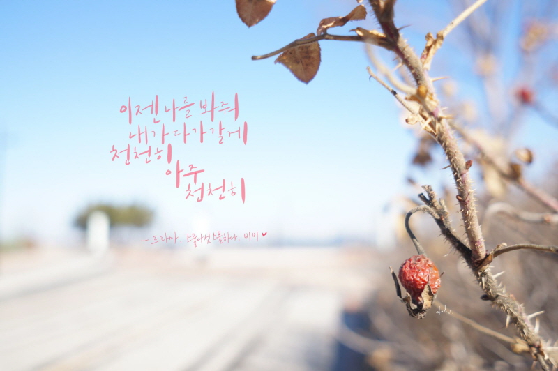 캘리그라피-도전