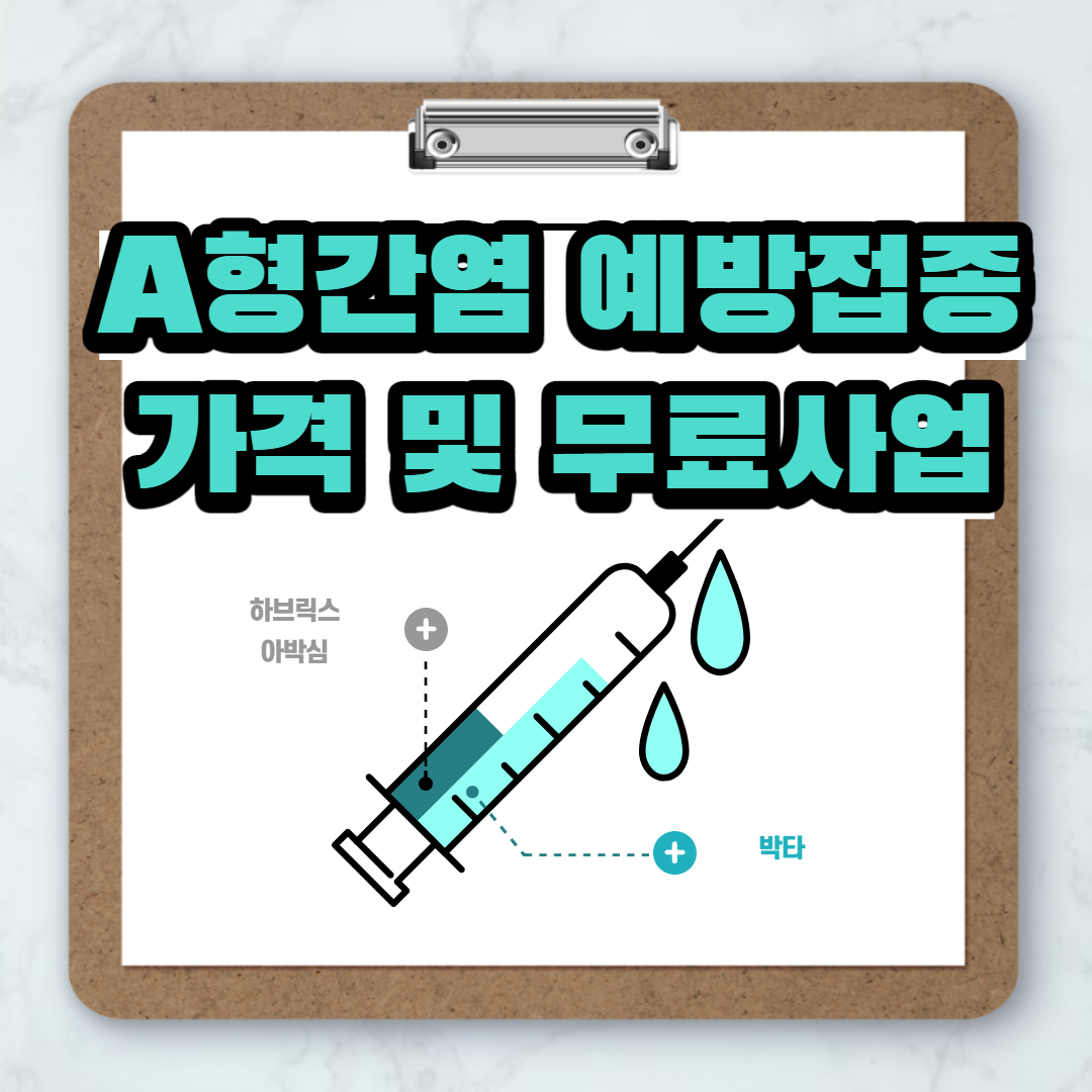  A형간염예방접종 가격 및 국가지원사업(무료)
